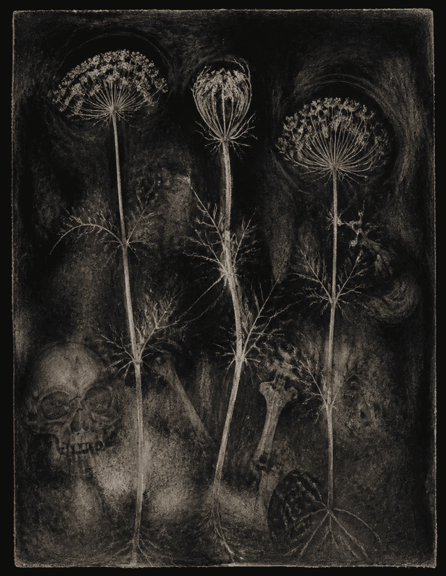 Black Orchard public artwork passport preview